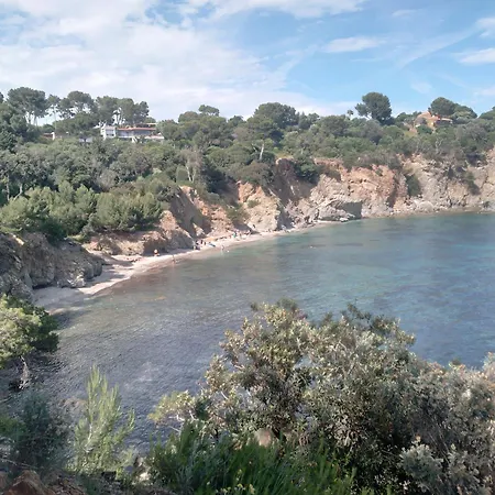 T1 Hyères